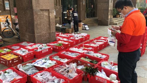 互联网巨头进入社区团购市场,零售数字化又一新通道开启
